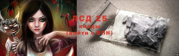 гидра Богородск