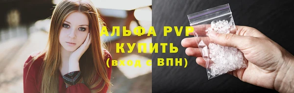 apvp Богданович