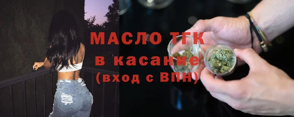 гидра Богородск