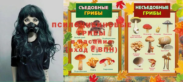 МДМА Белокуриха