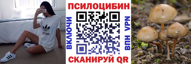 маркетплейс какой сайт  Бирюсинск  Псилоцибиновые грибы мицелий 