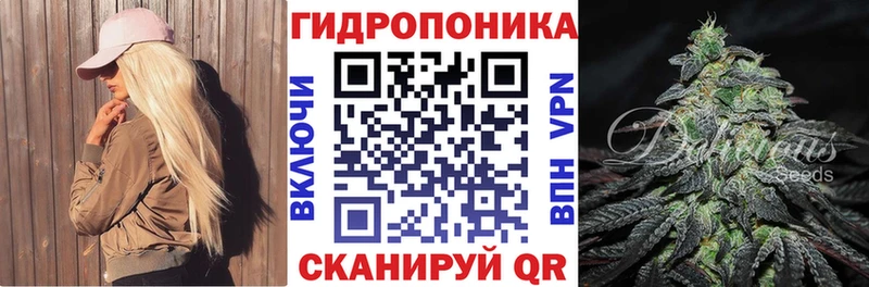 даркнет телеграм  Бирюсинск  Конопля SATIVA & INDICA 